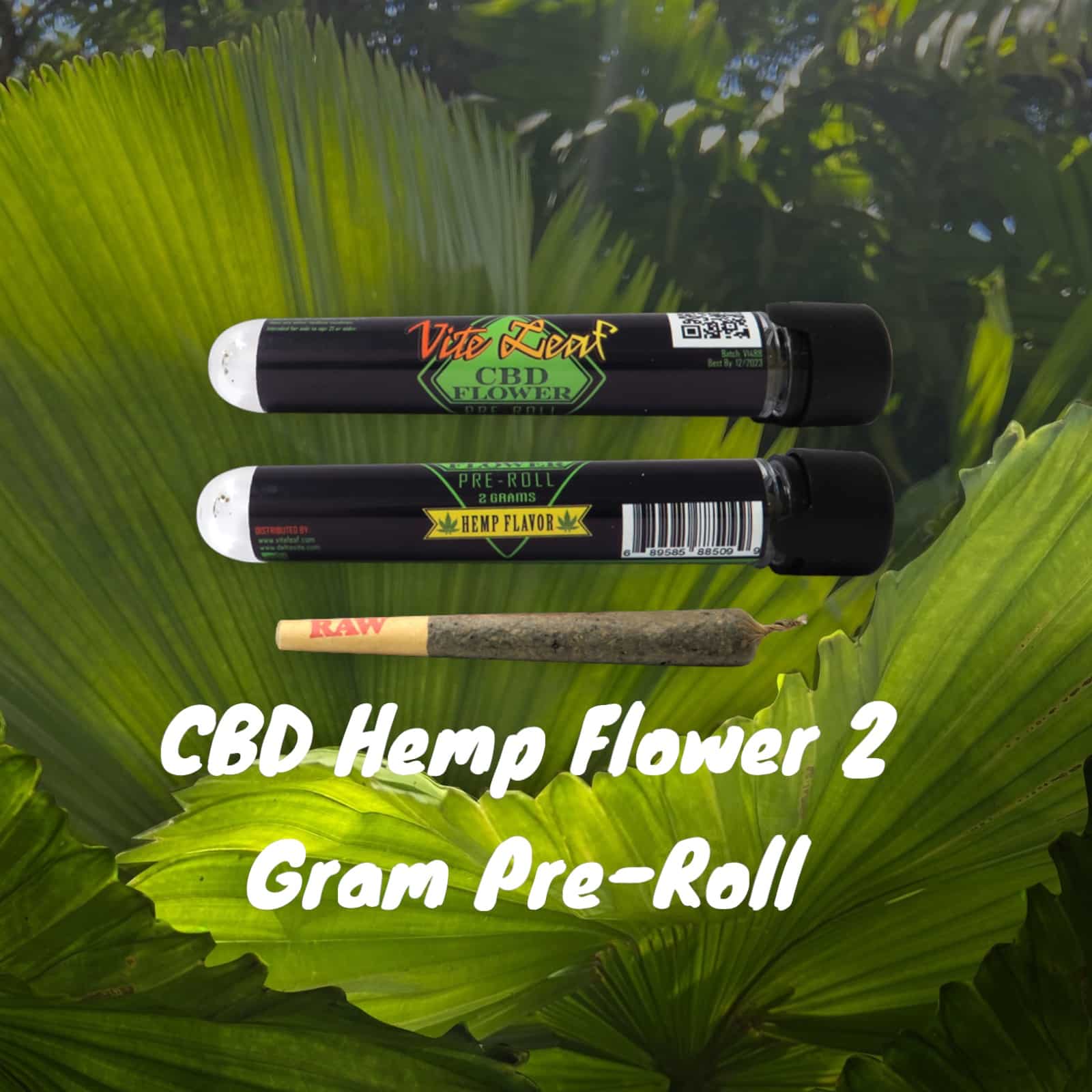 CBD full spectrum hemp pre roll